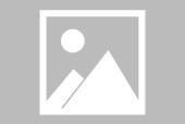kaiyun体育官方app-蒂姆新星重要助攻表现突出，FPX前途光明！-kaiyun体育官方app